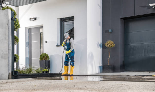 Animal Enclosure Cleaning in Phillipsburg, GA
